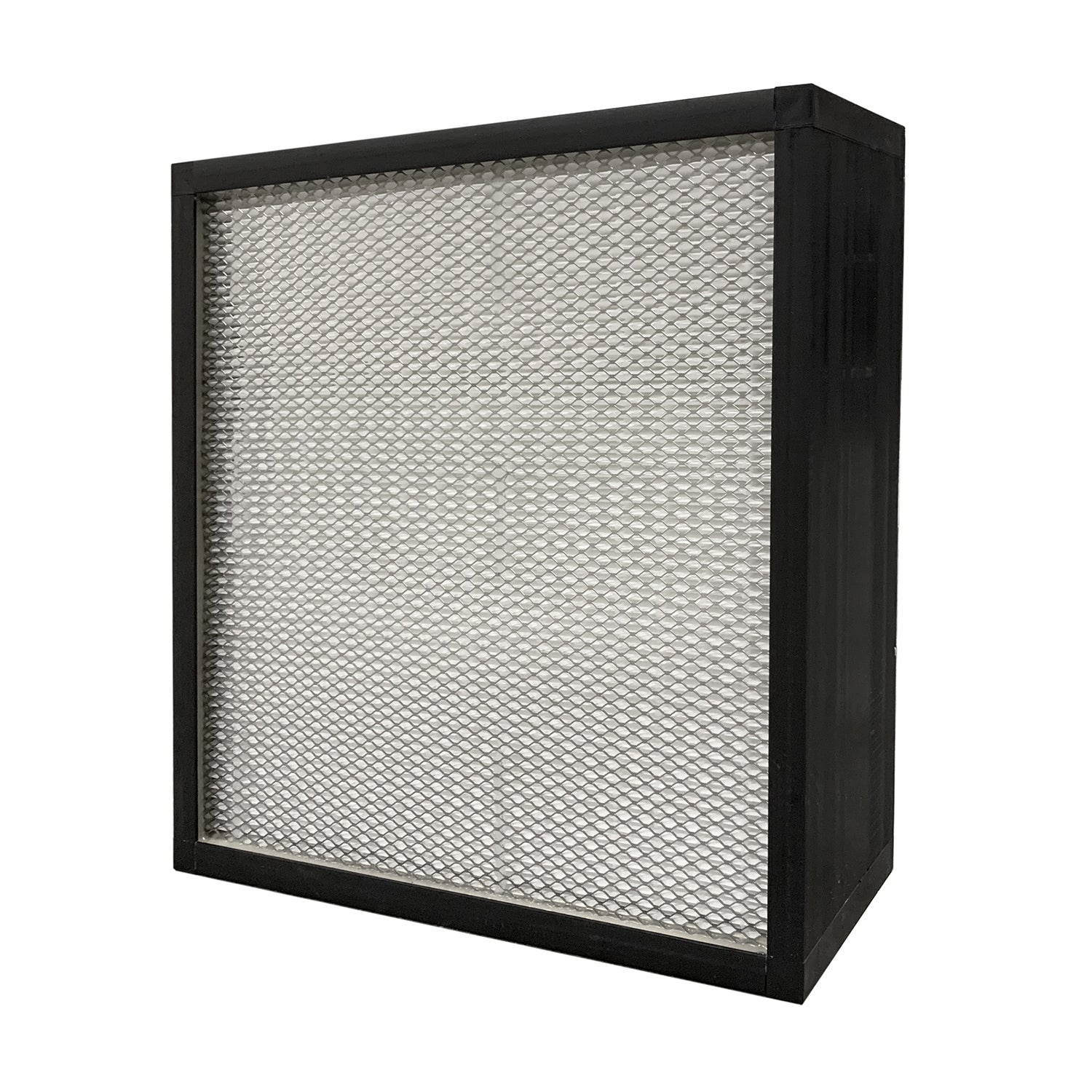 National Equipment 405220 Main Filter for ION1K