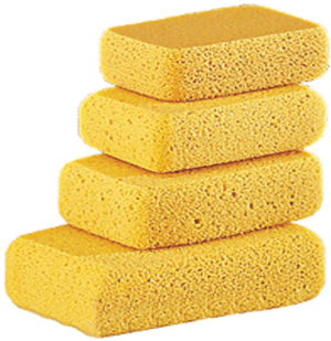 Gundlach HS Hydra Sponges